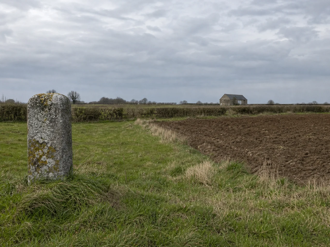 Hectare en km² : convertir et comprendre une surface