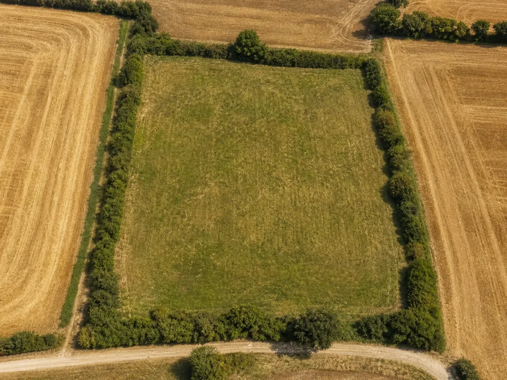 1 hectare en m², c’est combien de terrain exactement ?