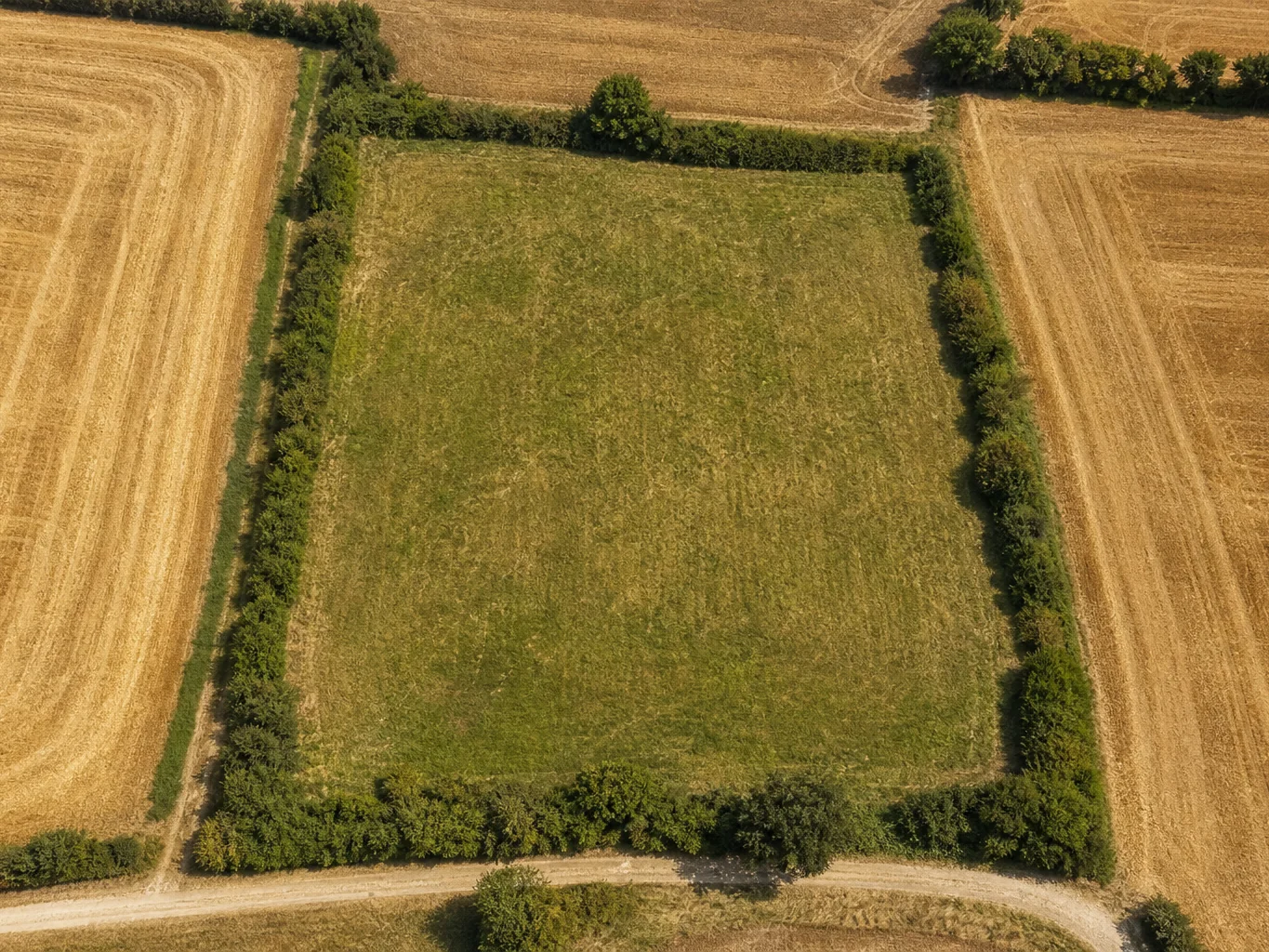 1 hectare en m², c’est combien de terrain exactement ?