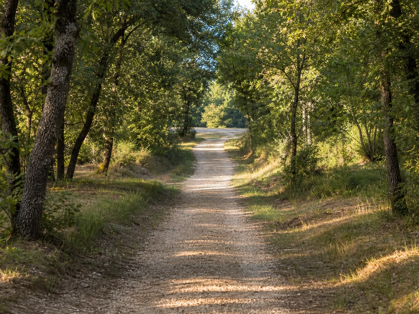 Servitude de passage : jusqu’où va le droit du voisin ?